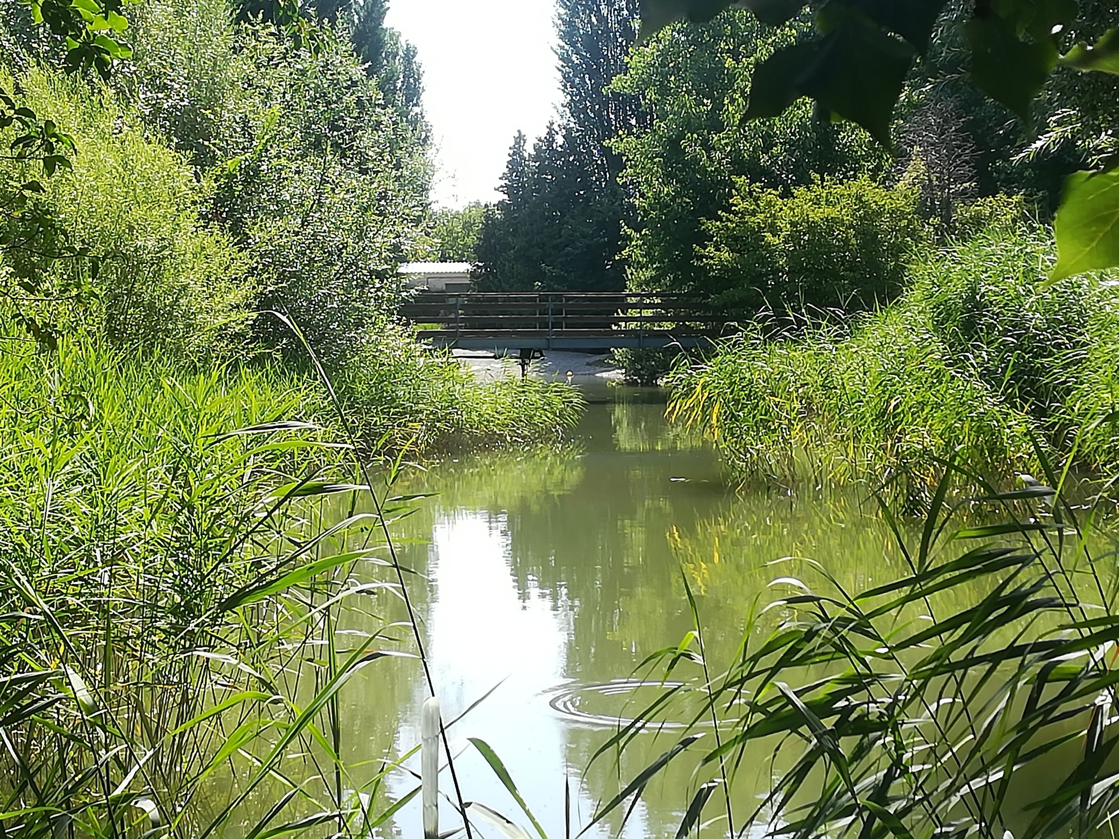 Foto - Tennis Golf Hotel Höllrigl