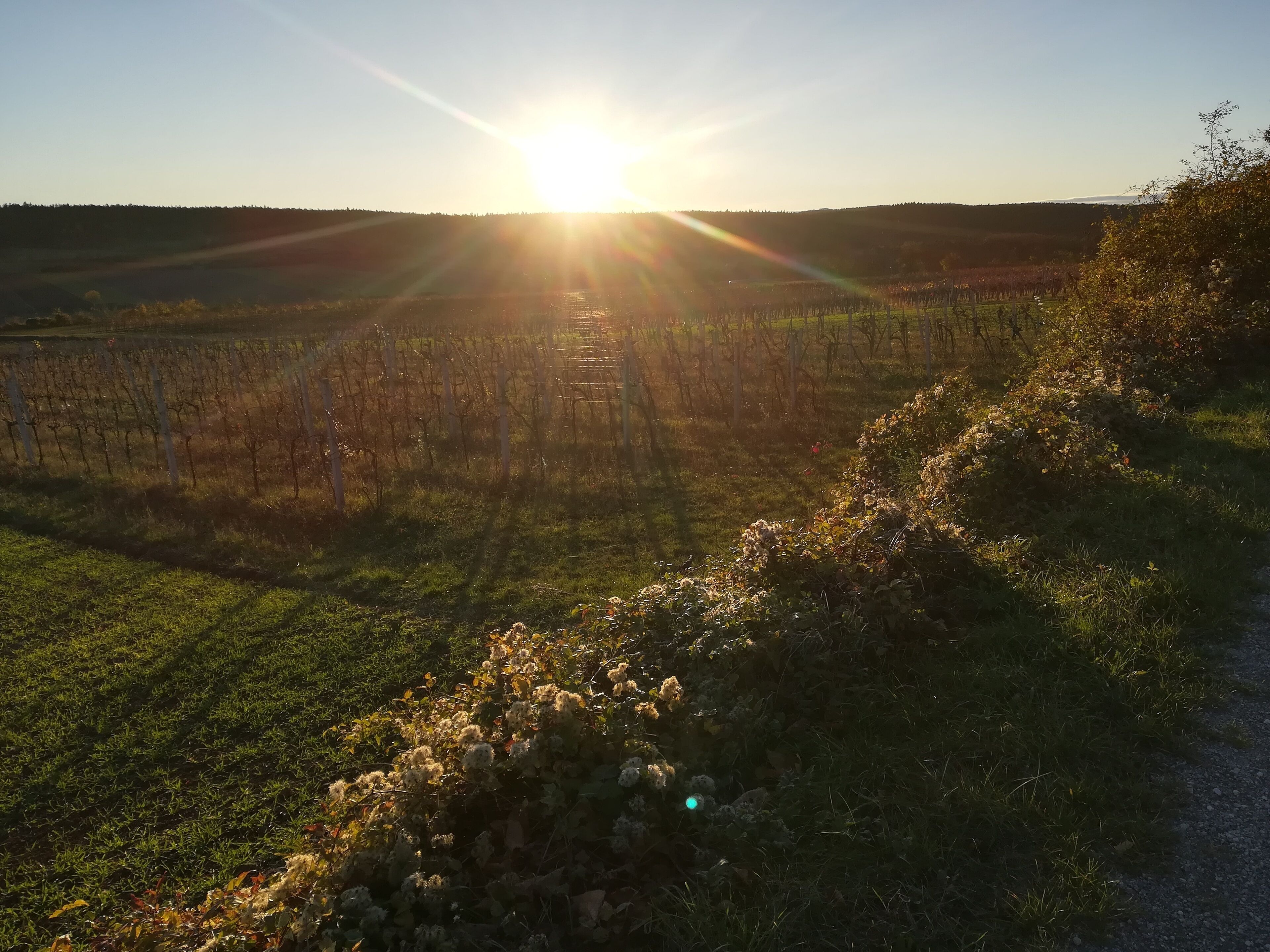 Foto - Tennis Golf Hotel Höllrigl