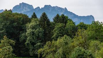 Un paisaje montañoso con un denso bosque en primer plano y una cordillera destacada al fondo.