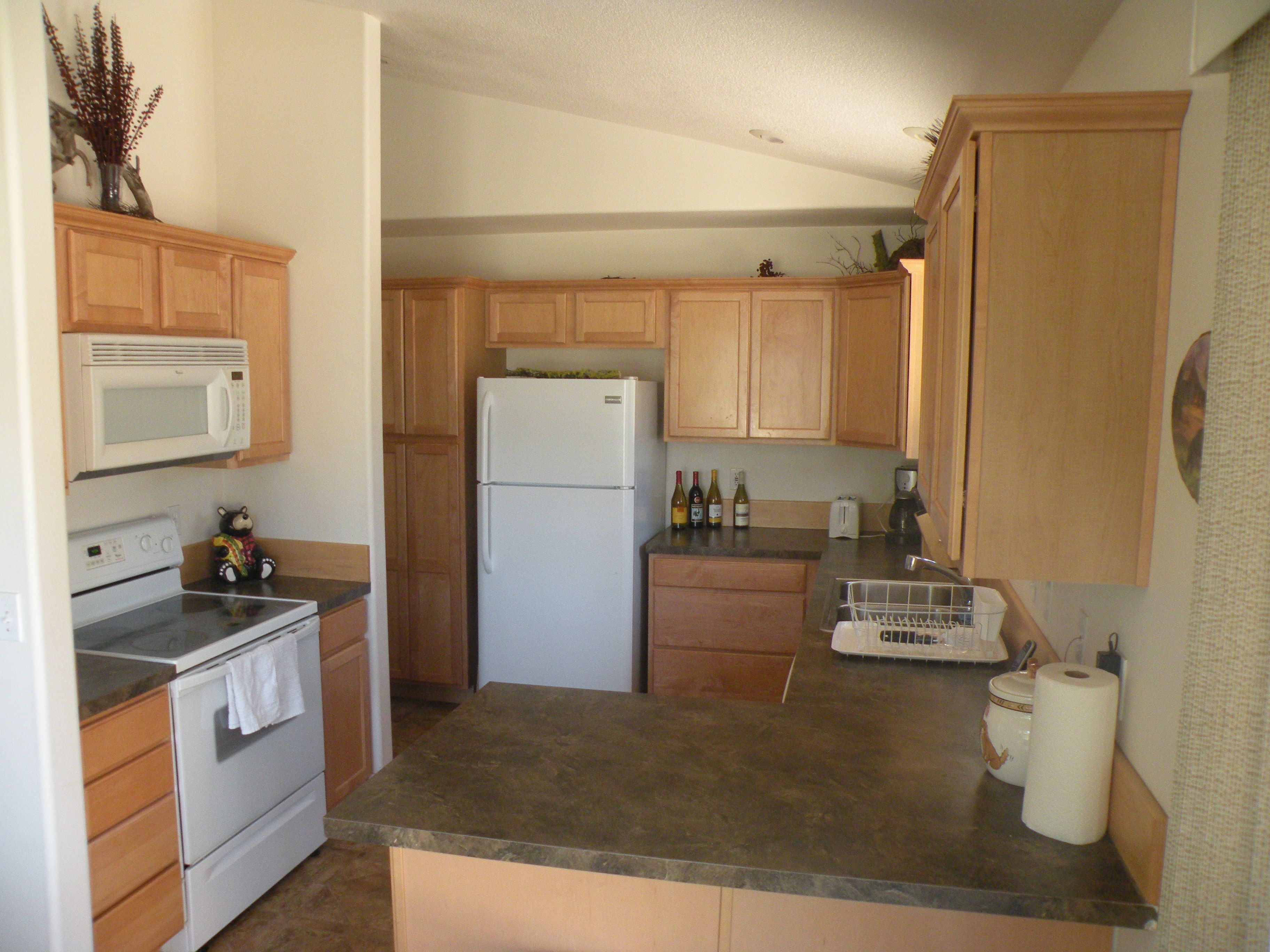 Full-sized fridge, microwave, oven, stovetop