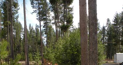 The Cozy Cabin LaPine