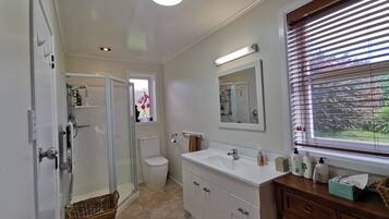 A modern bathroom with a shower, toilet, and sink area.