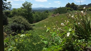 A lush green landscape with a variety of trees and shrubs, a hill with flowers, and a distant view of hills and a body of water. - Geyser Lookout BnB (Rotorua)