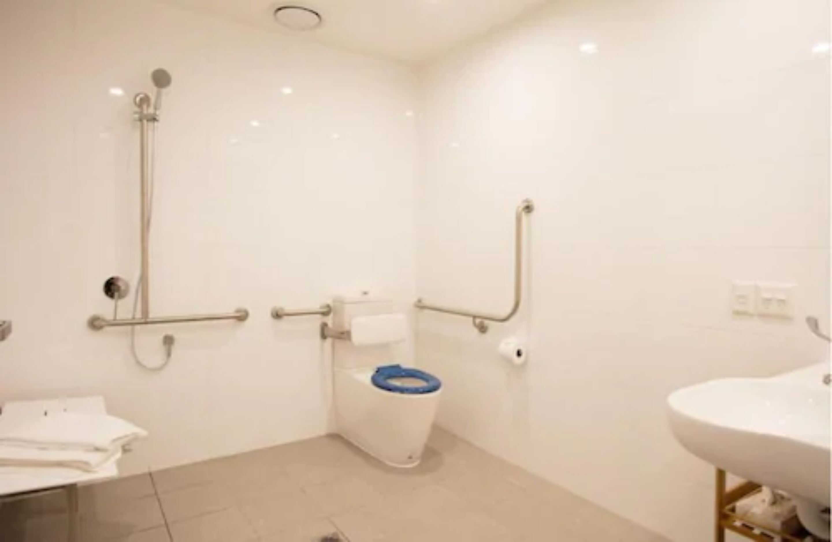 Une salle de bain avec des toilettes, un lavabo et une douche.