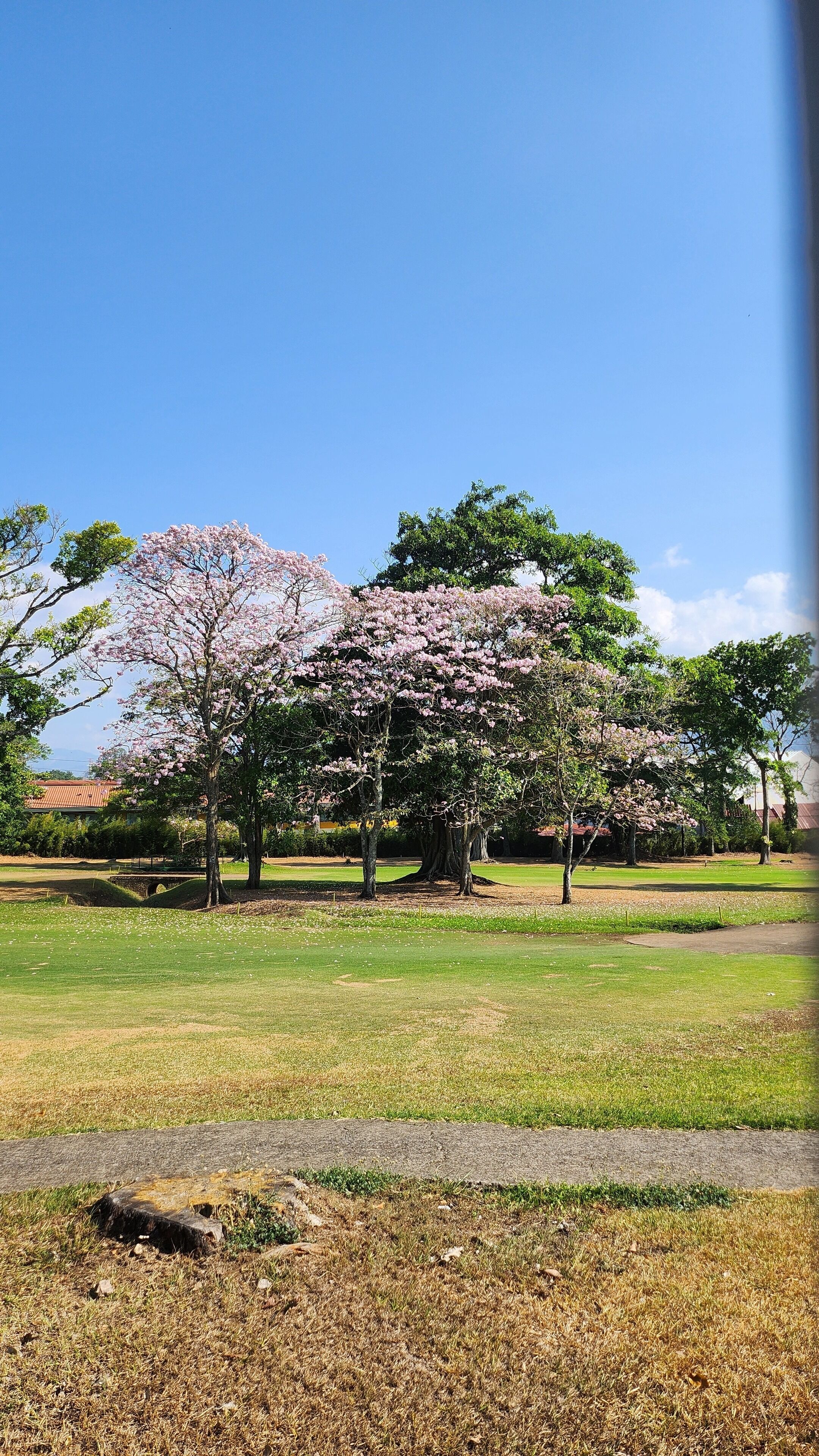 Foto - La Casa de Cariari Al Golf
