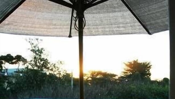 Un espacio de comedor al aire libre con una mesa, sillas, una botella de champán y una sombrilla.