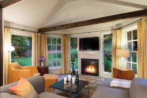 Smart TV, fireplace, books, stereo