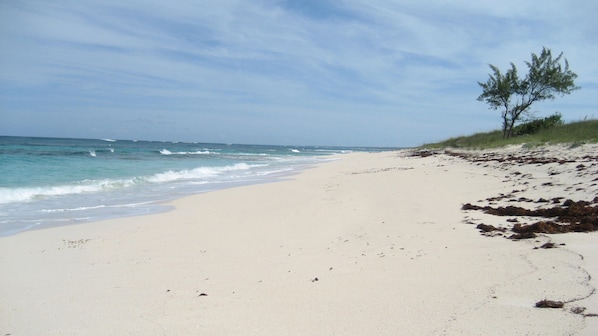 En la playa 