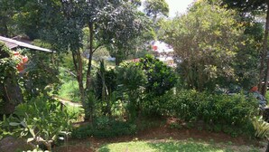 Un jardin avec différentes plantes et arbres, une zone herbeuse et une structure rouge partiellement visible.