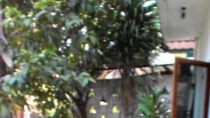 A small garden area with various potted plants and a wooden fence. - Rumah Kost (Jakarta)