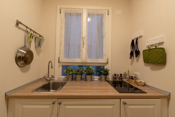 Fridge, stovetop, cookware/dishes/utensils