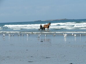 In Strandnähe, Liegestühle