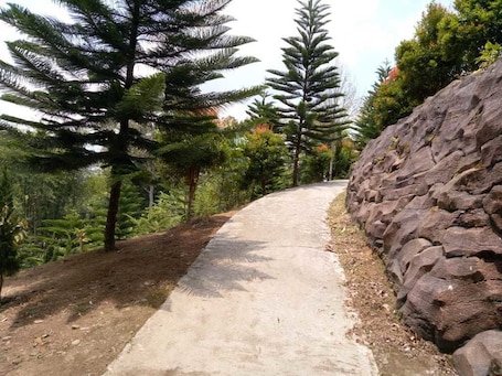 Ćrea da propriedade