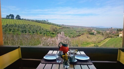 Bòggina, Petrolo winery.Exclusive farmstay with pool and garden.Walk to village.