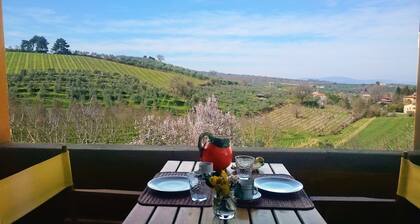 Bòggina, Petrolo winery.Exclusive farmstay with pool and garden.Walk to village.
