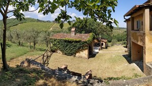Una villa rustica con un vigneto sullo sfondo, un muro in pietra e un piccolo giardino.
