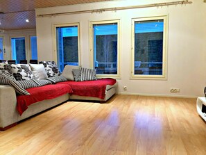 TV, fireplace, video games, music library