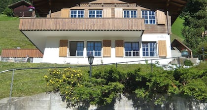 Renovated, quiet 3 room apartment with a wonderful view of the mountains