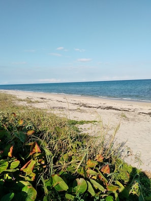 Beach nearby, sun loungers, beach towels