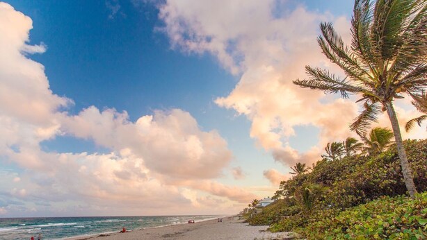 A beach with a clear sky, palm trees, and ocean waves. - Beach studio with pool 200 meters from the beach  (Boynton Beach)