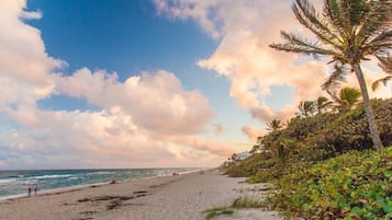 Una playa cerca, sillas reclinables de playa, toallas de playa