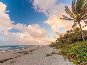 Vlak bij het strand, ligstoelen aan het strand, strandlakens