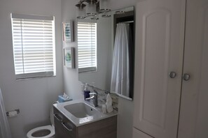 Combined shower/bathtub, hair dryer, towels, soap