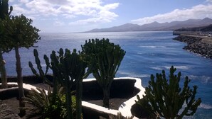Un paisaje costero con cactus y un litoral rocoso.