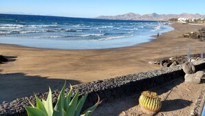 Una playa con un muro rocoso, un cactus y una persona caminando.