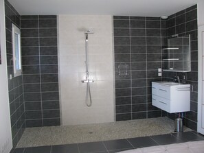 Combined shower/tub, hair dryer, towels, toilet paper