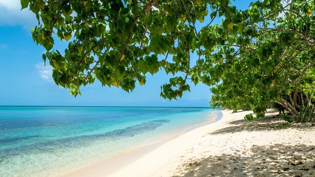 Een strand met helder turquoise water, wit zand en groene begroeiing.