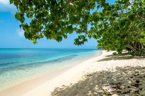 Una playa con aguas turquesas cristalinas, arena blanca y abundante follaje verde.