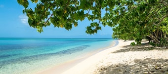 Beautiful exotic wooden bungalow in the quiet countryside 