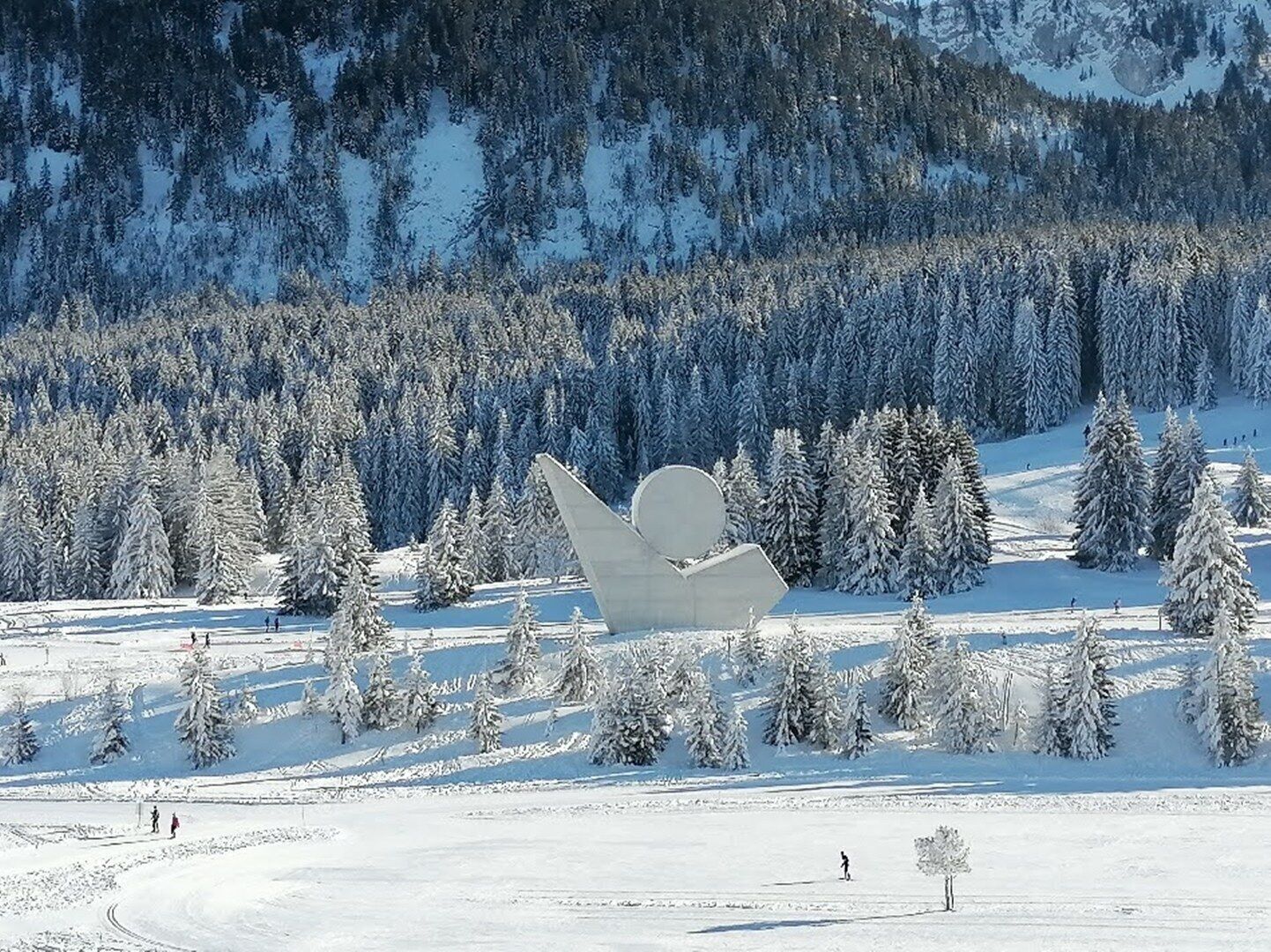 滑雪运动