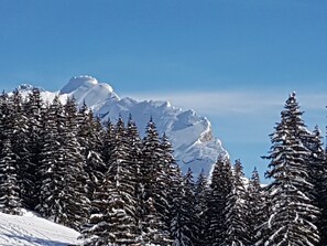 Paisaje montañoso nevado con densos árboles de hoja perenne y un cielo azul despejado.