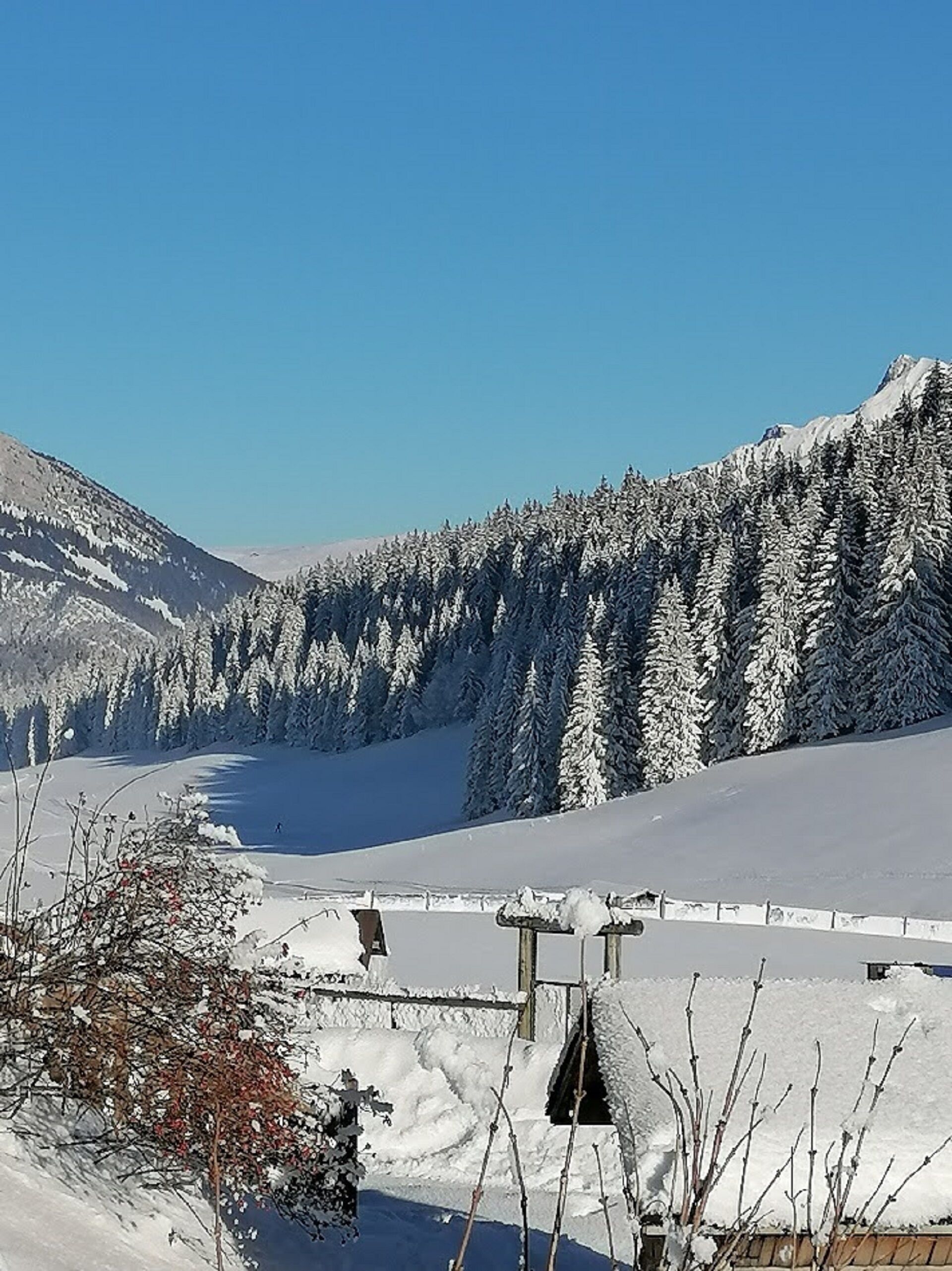 A snow-covered landscape with a clear sky, a mountain range, and a ski slope.