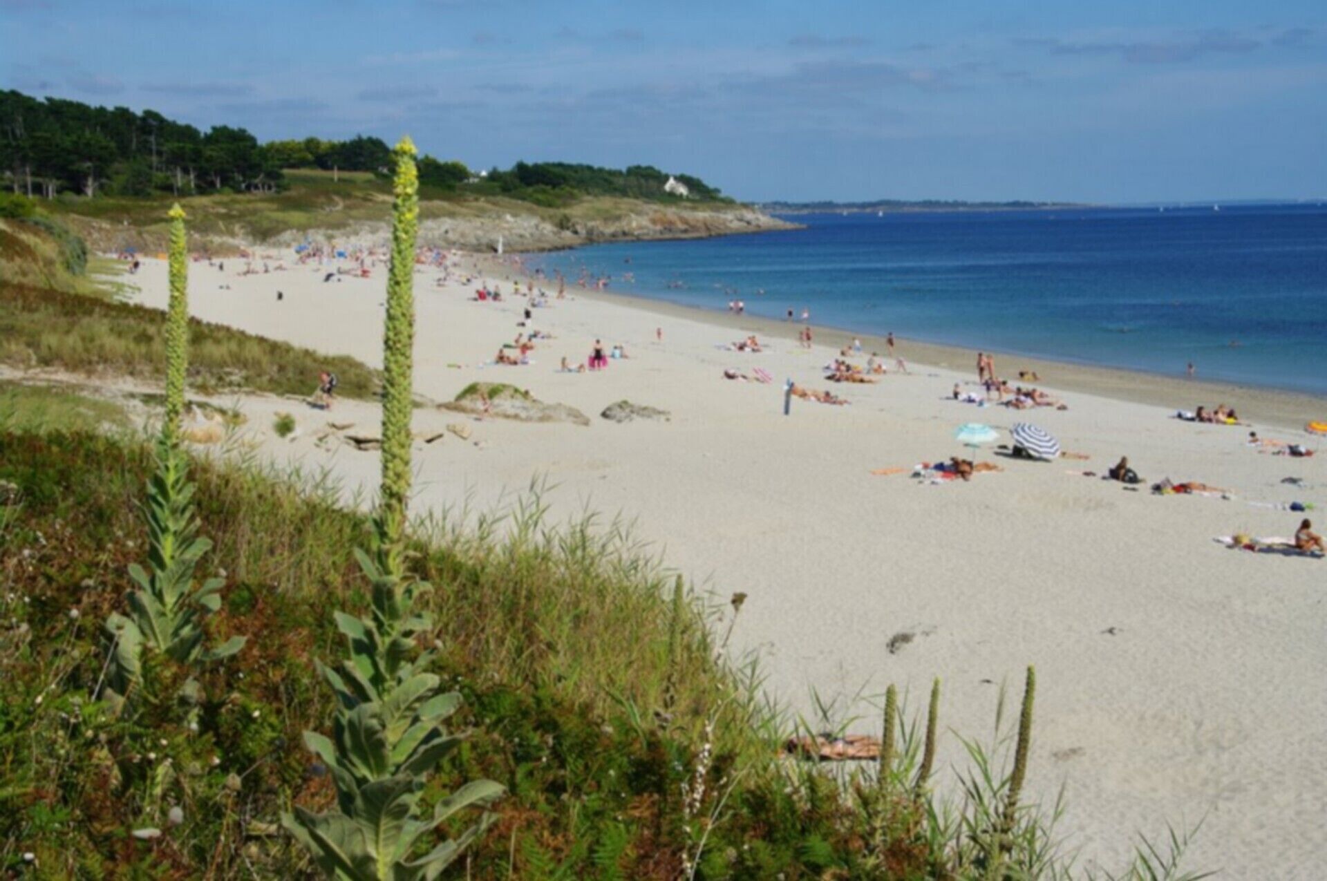 Une plage où des gens se prélassent au soleil et se baignent, entourée de verdure et sous un ciel dégagé.