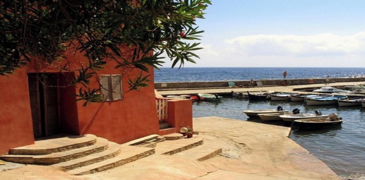 オーナーのプロフィール画像