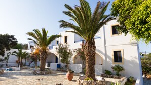 A courtyard with palm trees, a large terracotta pot, and white buildings with blue accents. - Summer Breeze (Karpathos)