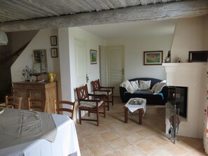 電視、壁爐、DVD 播放機、書籍