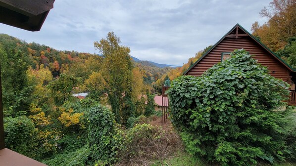 Puinen mökki, jonka ympärillä on tiheää kasvillisuutta ja taustalla kohoaa vuoristo.