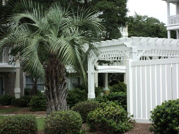 View from living room