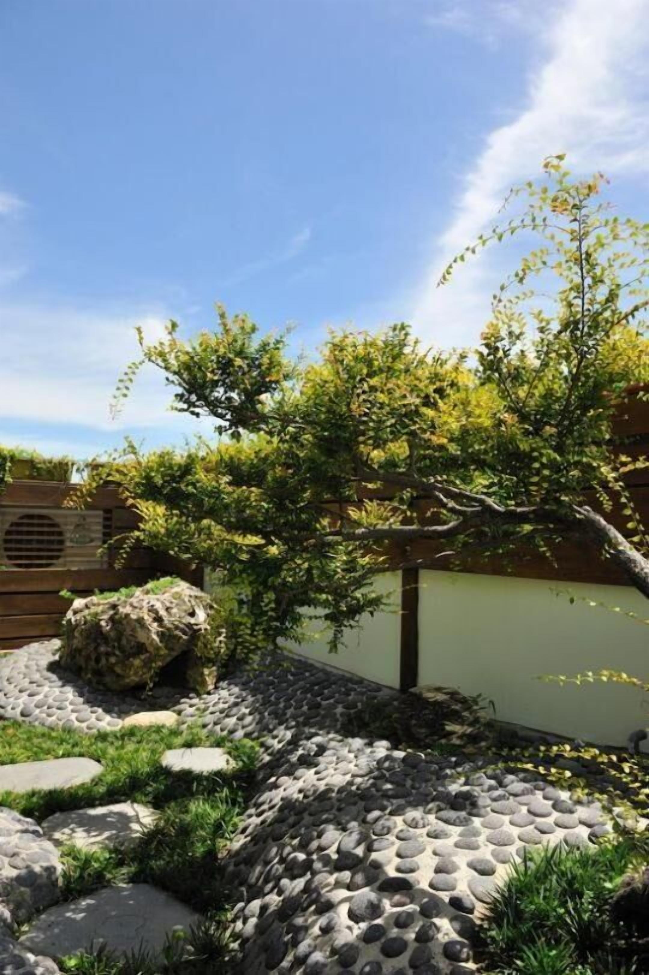 A garden with a stone pathway, a large rock, and a tree.
