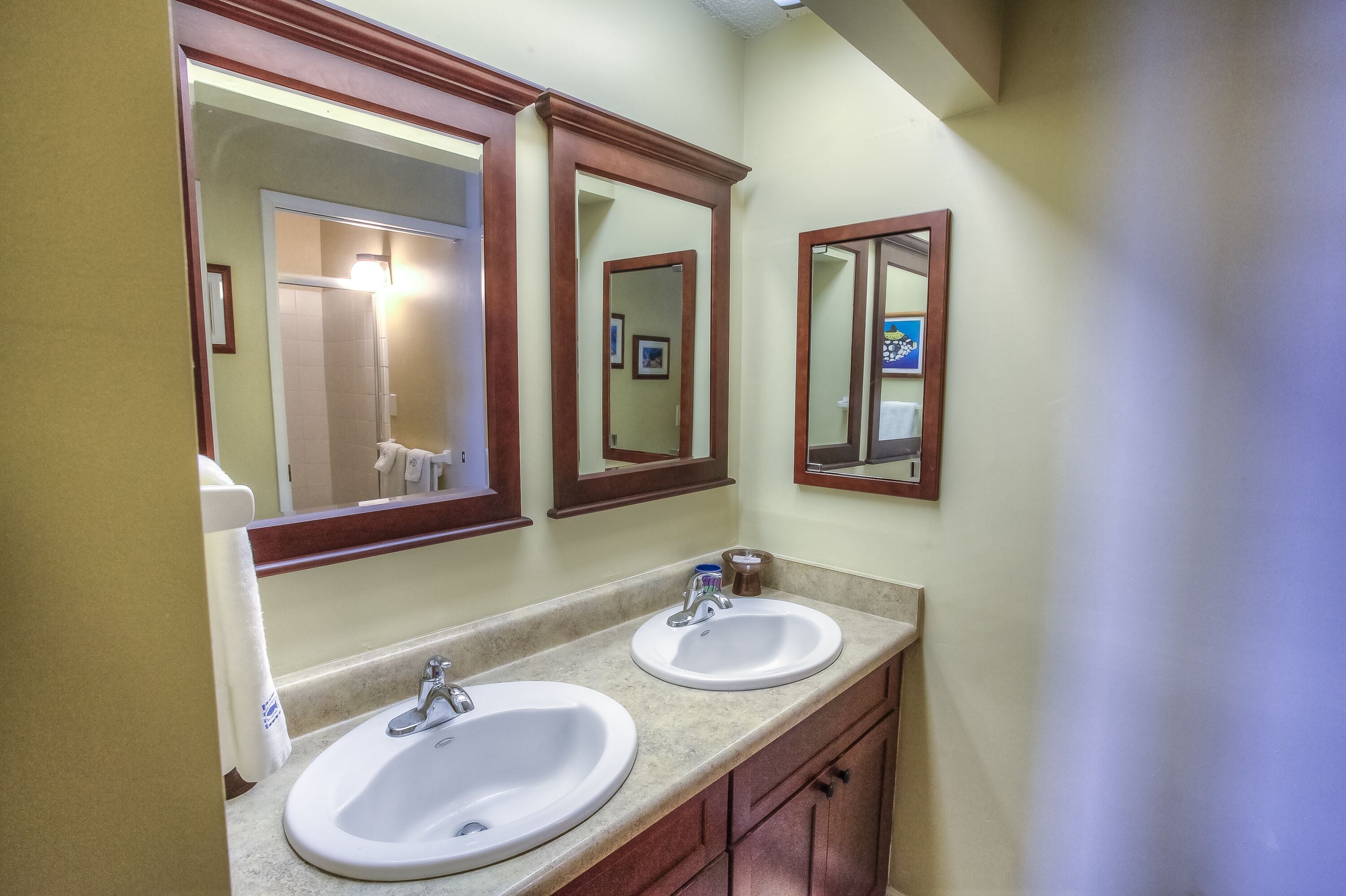 Shower, hair dryer, towels, toilet paper