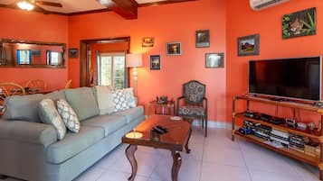 Télévision, lecteur de DVD, livres