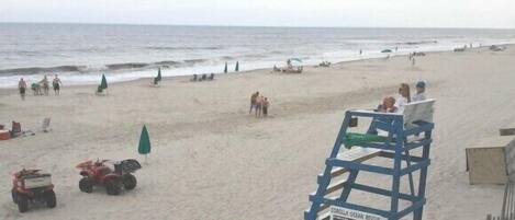 On the beach