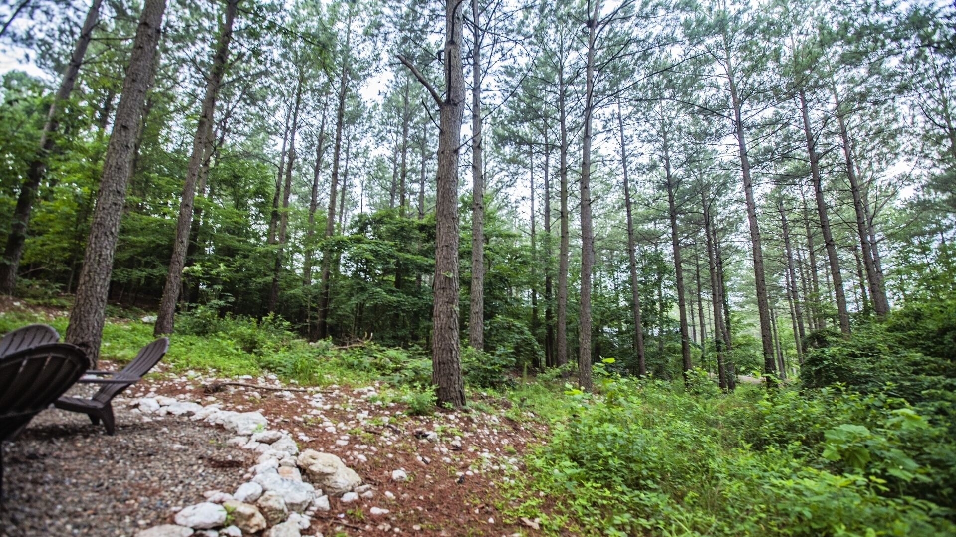 A forested area with a clear path, wooden chairs, and a rocky ground.
