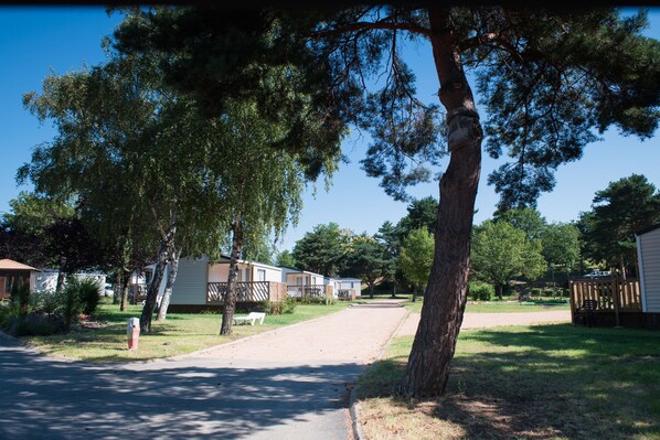 A residential area with single-story houses, a paved driveway, and a grassy lawn.