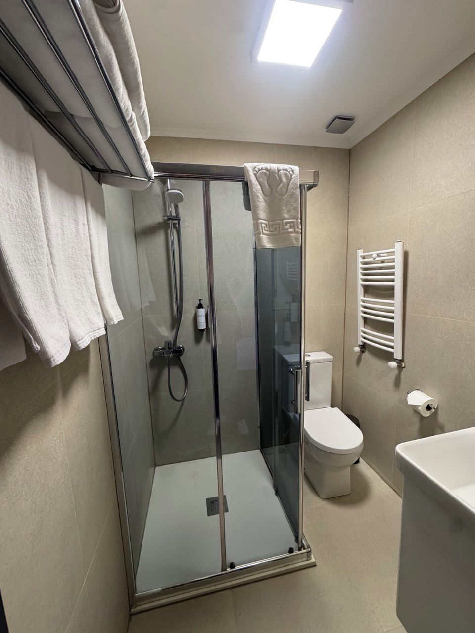 A bathroom with a glass-enclosed shower, a toilet, a sink, and a towel rack.