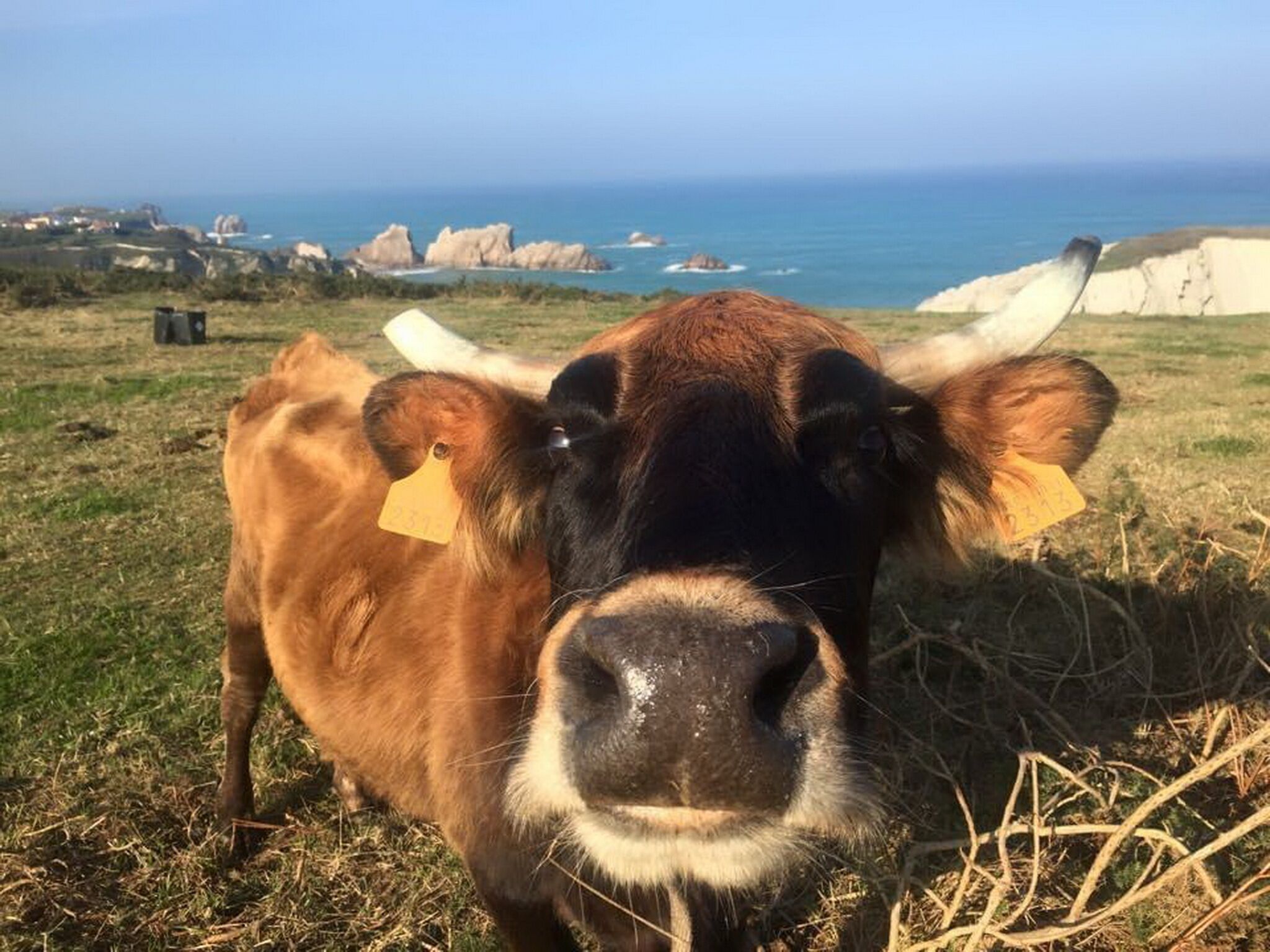 Foto - Posada La Morena